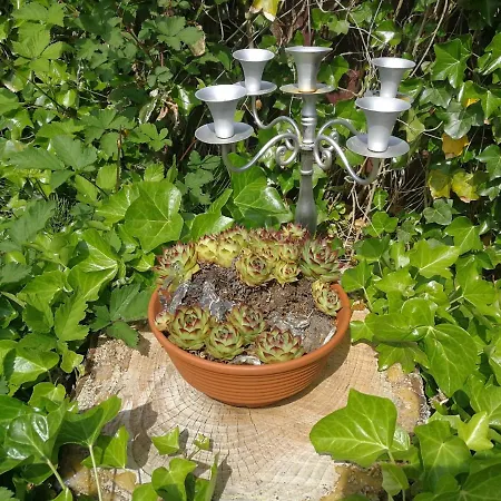 Ferienwohnung Garten & Meer - A49214 Berumbur